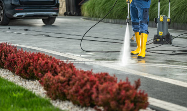 Best Fence Cleaning  in Cumberland Head, NY
